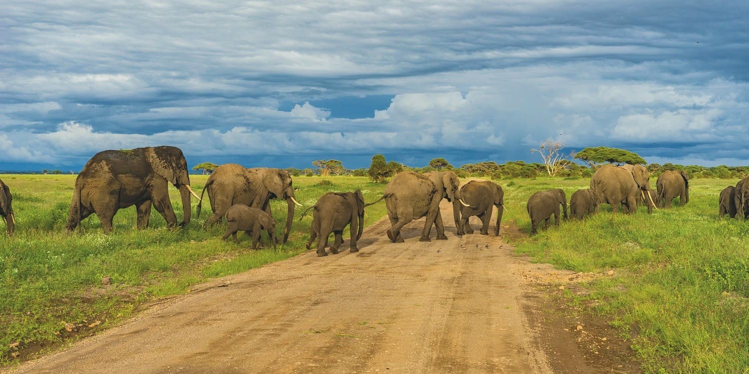 how to plan a masai mara safari kenya